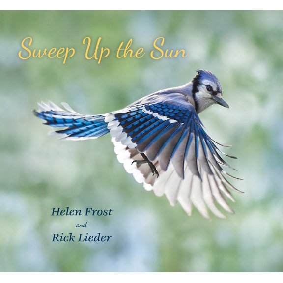 Pre-Owned Sweep Up the Sun (Hardcover) 0763669040 9780763669041