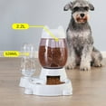 thumbnail image 5 of Automatic Pet Food Self Dispenser Dog Cat Rabbit Feeder Water Auto Dish 2 Bowls, 5 of 11