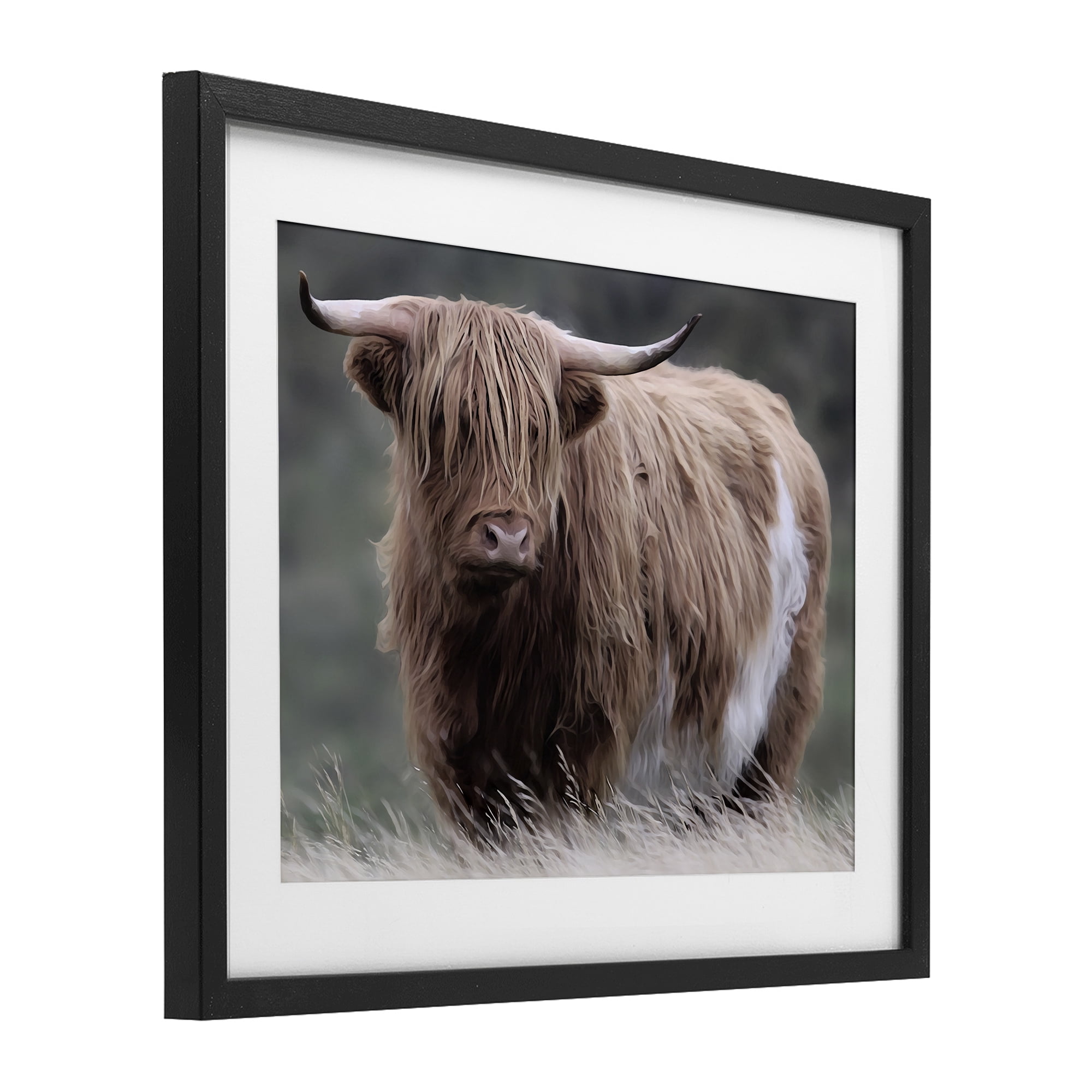 Stupell Industries Wandering Harry Highland Cattle Black Framed Print Under Glass, design by Marcus Prime