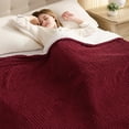 thumbnail image 4 of COWIN Electric Blanket Full Size, Brushed Flannel+Shu velveteen, 10 Heating Levels and 1-8 Hour Automatic Shutdown, Machine Washable, Red, 72 "x 84", 4 of 7