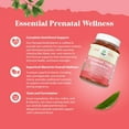 thumbnail image 3 of Natures Craft Prenatal Vitamins with Iron and Folic Acid for Women, Pineapple Mango, 60 Gummies, 3 of 10
