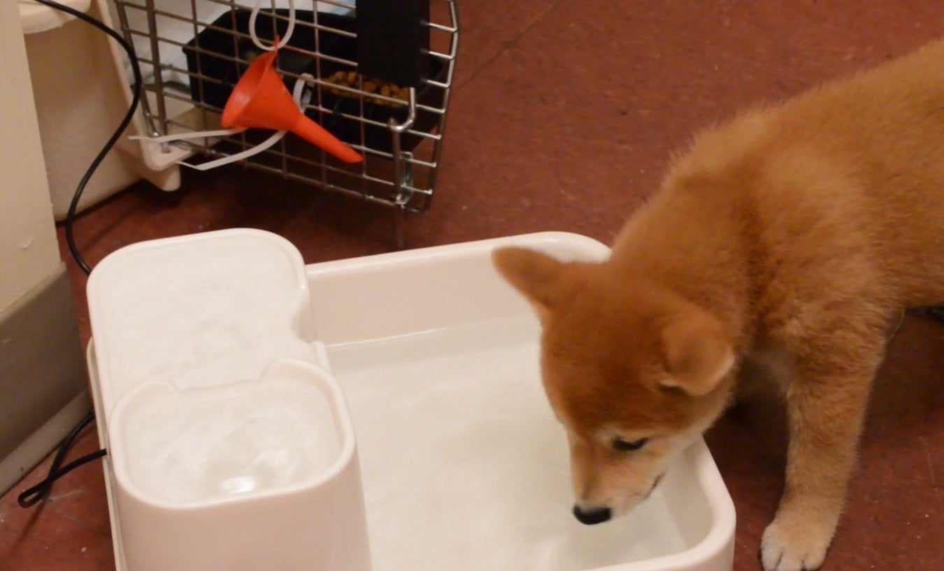 PetsN'all Waterfall Filtration Circulating Dog Bowl