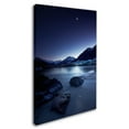 thumbnail image 2 of Trademark Fine Art 'Moonlight' Canvas Art by Yan Zhang, 2 of 3