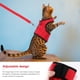 thumbnail image 5 of Ropa De Conejito, Arnés Transpirable Para Gatos, Hurón, Exquisito Chaleco Pequeño Para Hámster, Correa De Conejo Multiusos, Chalecos Para Caminar En El Pecho Para Mascotas Scienceny PT001521-02, 5 of 6
