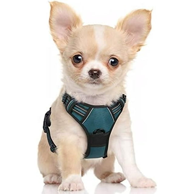 rabbitgoo Dog Harness No-Pull Pet Harness with 2 Leash Clips Adjustable Soft Padded Dog Vest Reflective No-Choke Pet Oxford Vest with Easy Control Handle for Large Dogs Orange L