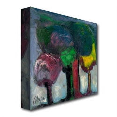 Trademark Fine Art "Bosque de Niebla" Canvas Art by Boyer