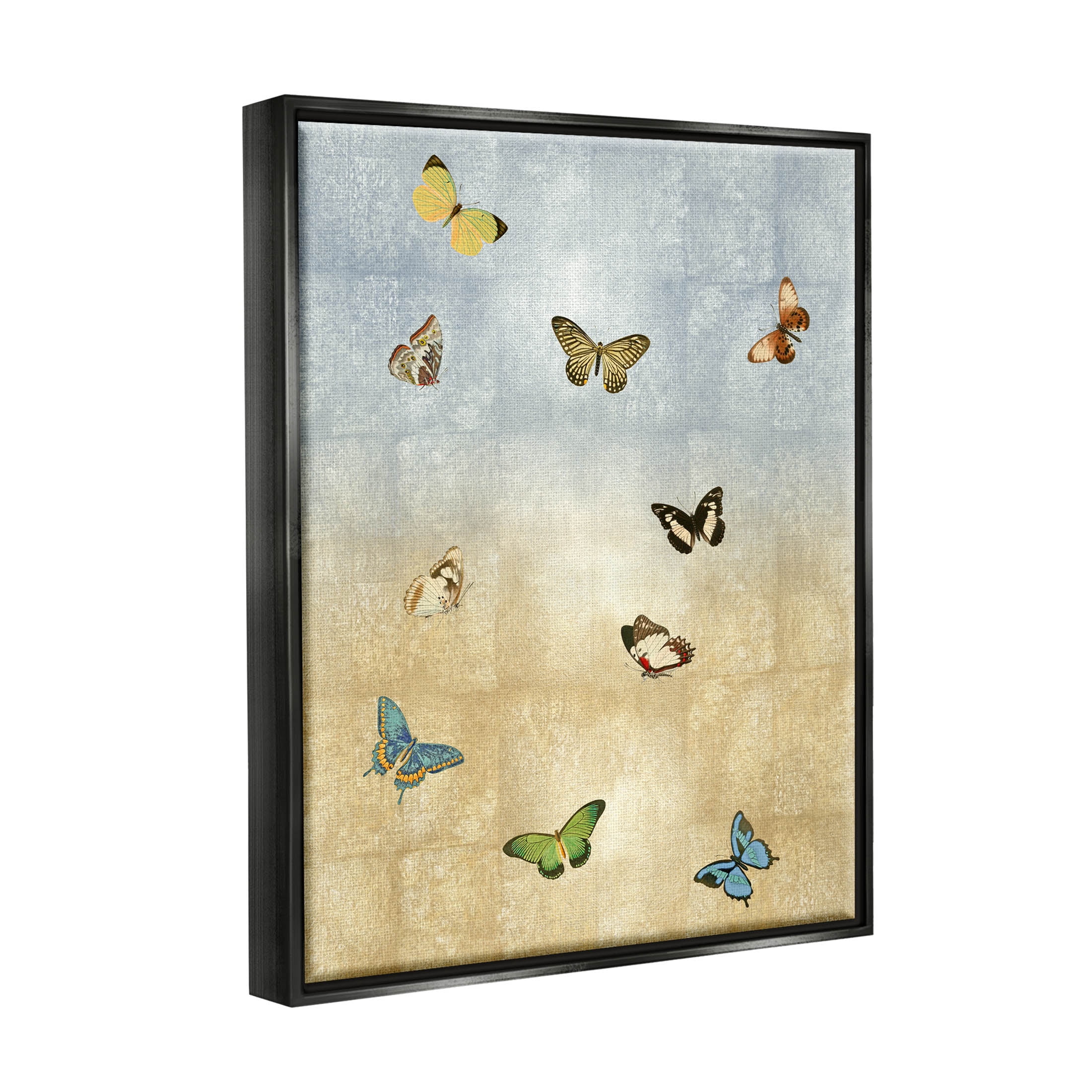 Various Butterfly Insect Pattern Animals & Insects Graphic Art Jet Black Framed Art Print Wall Art