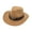 Camel, variant on Fedora Hat Cow-head Decor Wide Brim Western Style Soft Touch Head Protection Autumn Winter Felt Hat for Travel