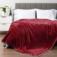 thumbnail image 2 of PAVILIA Soft Fleece Sherpa Throw Blanket for Couch Bed Twin, Wine, 60x80, 2 of 7