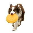 thumbnail image 1 of Dog Flying Disc, High Flying Aerodynamic Disc for Dogs Puppy – Lightweight, Floatable Disc for Fetch, 1 of 5