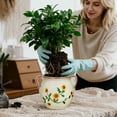 thumbnail image 3 of BUYMAX 6 inch Rustic Ceramic Planter with Handles, Embossed Sunflower Pot, Vintage Crackle Glaze Flower Container for Home & Garden Décor, 3 of 8