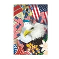 thumbnail image 2 of Double-Sided USA Garden Flag – 12x18 Inch 4th of July Patriotic Decor for Porch, Yard, Farmhouse, All-Weather Outdoor/Indoor American Flag with Grommets – Independence Day, Memorial Day, Veterans Day, 2 of 6