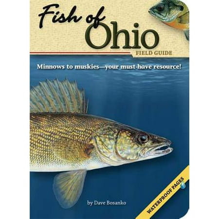 Fish of Ohio Field Guide (Best Places To Fish In Ohio)