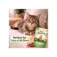 thumbnail image 6 of Pet Naturals Hairball Chews for Cats, Chicken, 160 Count, 6 of 8