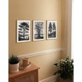 thumbnail image 7 of SHENIFY Vintage Tree Wall Art 16x24in3pcs Natural Framed Black and White Retro Antique Forest Drawings Nature Wilderness Sketch Wall Painting Modern Bedroom Decor, 7 of 7