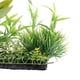 thumbnail image 2 of Plantas de agua artificiales, hoja de bambú, ornamento de hierba, peces de acuario jinwen Planta de terrario de reptiles, 2 of 8