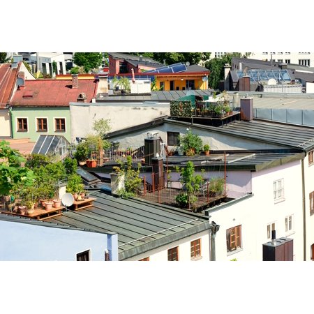 Flat Roof Terrace LAMINATED POSTER Roof Terrace Garden Terrace Roof Garden House Roof Poster Print 24 x 36 ()