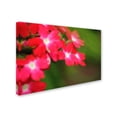 thumbnail image 2 of Trademark Fine Art "Paired Ornament" Canvas Art by Monica Mize, 2 of 3