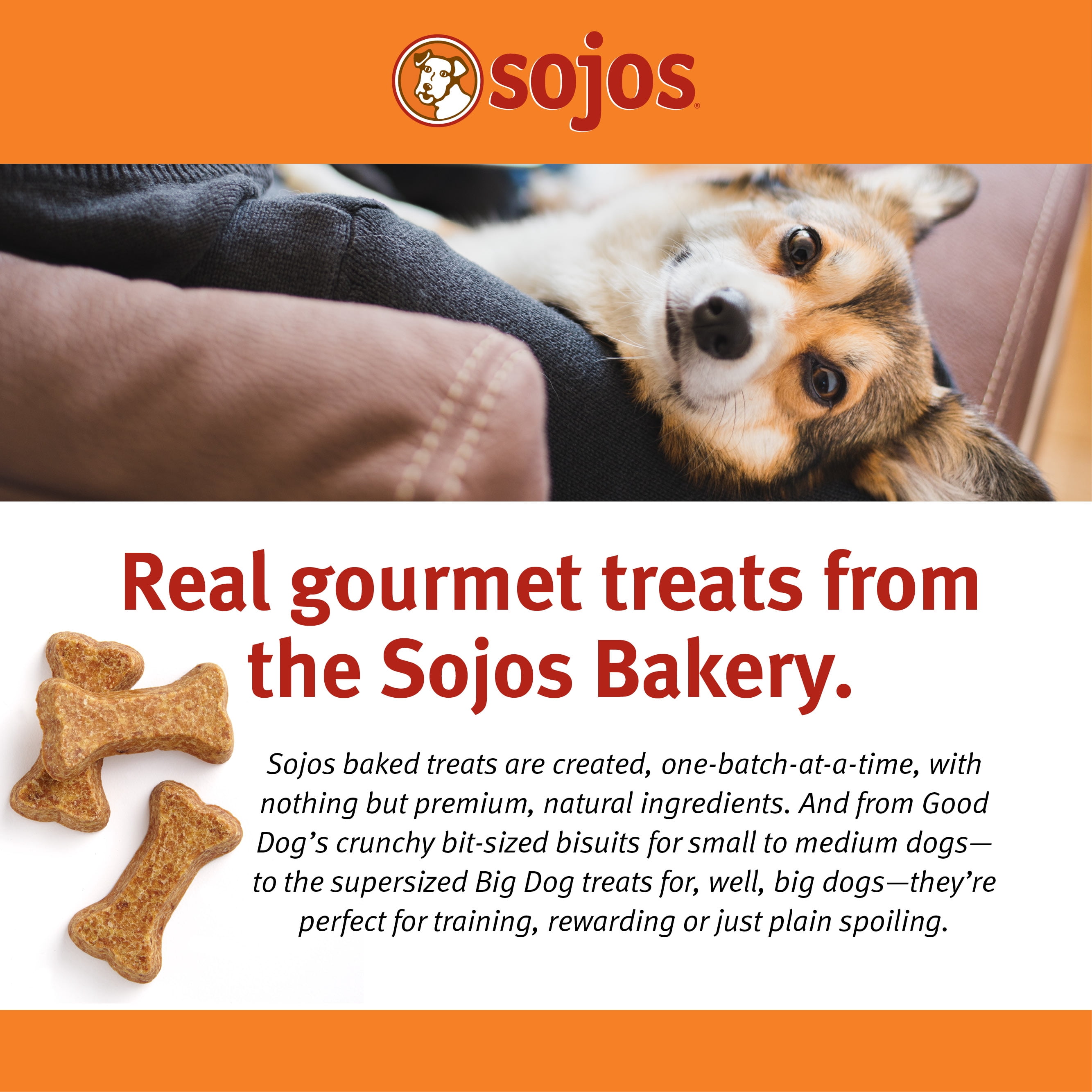 Sojos Big Dog Crunchy Natural Dog Treats, Biscuits & Gravy, 12-Ounce Box