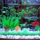 thumbnail image 4 of Joyería de anémona de mar amarillo Acuario Simulación Planta acuática Peces ornamentales Coral,11 Feliz Sencillez, 4 of 4