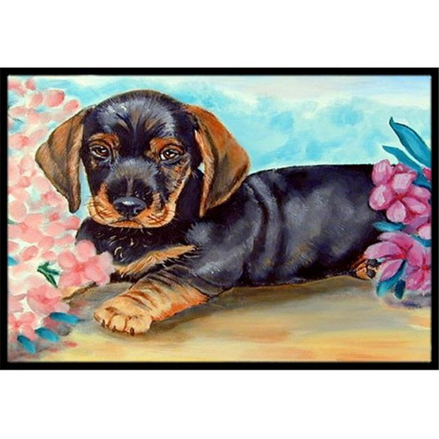 Carolines Treasures 7501MAT Tapis Intérieur Extérieur 18 x 27 Po. Dachshund