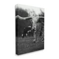 thumbnail image 4 of Stupell Industries Resting Longhorn Photography Animals & Insects Photography Gallery Wrapped Canvas Art Print Wall Art, 16 x 20, 4 of 8