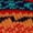 Color 5, variant on Men's Colorful Patterned Socks - Vintage Knitted Fashion Novelty Funky Crazy Designer Argyle Striped Dress Cotton Over the Calf Socks - Color 6 - Size Medium - 1 Pair