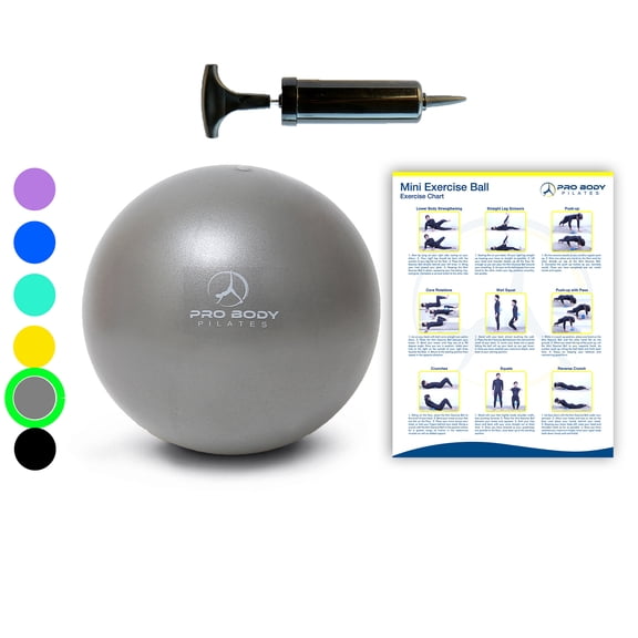 Mini Exercise Ball with Pump - 9 Inch Bender Ball for Stability, Barre, Pilates, Yoga, Core Training and Physical Therapy
