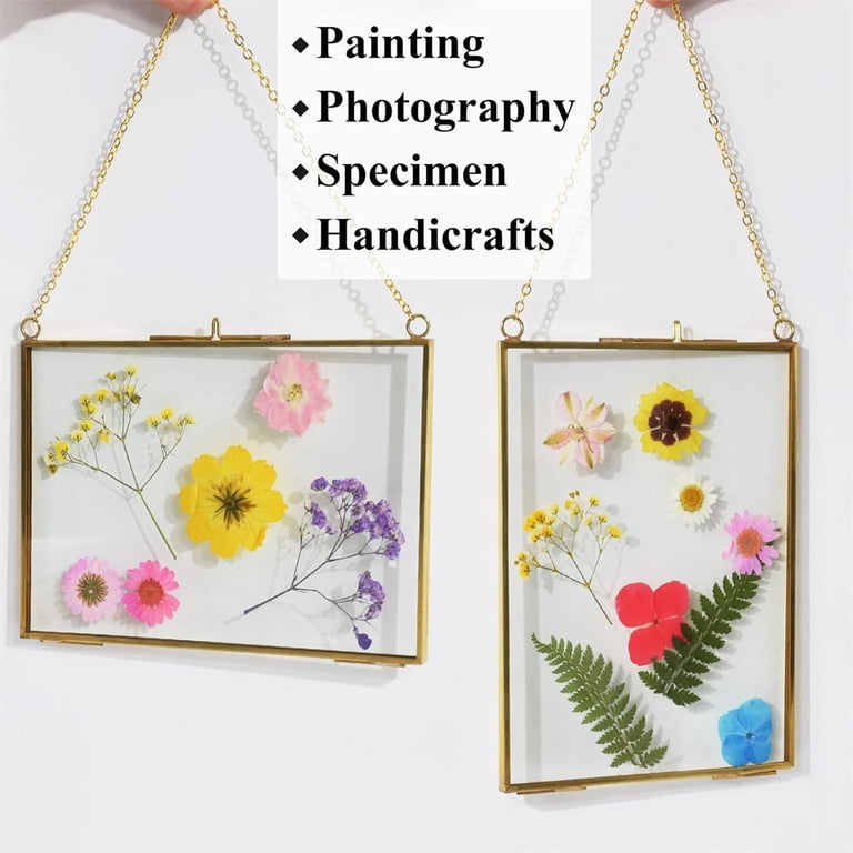 HSDSH 4 Pcs Glass Picture Frames For Pressed Flowers - Golden Hanging Frames With Chain