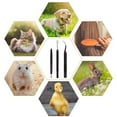 thumbnail image 5 of 3 In 1 Tick Remover Kit CoiTek Black Tick Remover Tweezers Stainless Steel Tick, 5 of 5