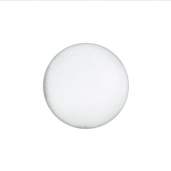 1030 Foundation White Thompson Opaque Enamel 8 Ounce