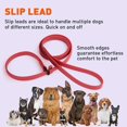 thumbnail image 6 of Dogline  - Biothane Slip Dog Leash - for Small, Medium and Large Dogs - Odor Free Slip Lead, Heavy Duty and Durable Material Kennel Lead (Red: Width 3/8" | L: 60"(5ft)), 6 of 8