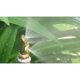 thumbnail image 4 of 1 pieza 1/2 `` latón 3 agujeros boquilla de nebulización agrícola boquilla de pulverización de jardín n.  degree 2 Macarena Aspersor de riego para jardines, 4 of 8