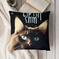 thumbnail image 3 of Funny Cat Gifts, Black Cat Mom Gifts, Funny Quote It‚Äôs Not Cat Hair It‚Äôs Kitty Glitter Throw Pillow Cover, Cat Gifts for , Cat Gifts for Women,, 3 of 5