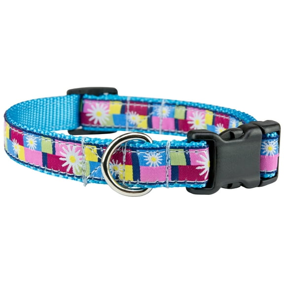 Country Brook Petz® Deluxe Daisy Blocks Woven Ribbon on Ice Blue Dog Collar Limited Edition, Small