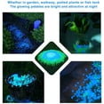 thumbnail image 6 of Dream Lifestyle 300 PCS Glow in The Dark Garden Rocks,Decor Luminous Pebbles Stones for Indoor/Outdoor,DIY Decor Luminous Stones,for Yard Lawn Walkway Garden Plants and Aquarium, 6 of 8