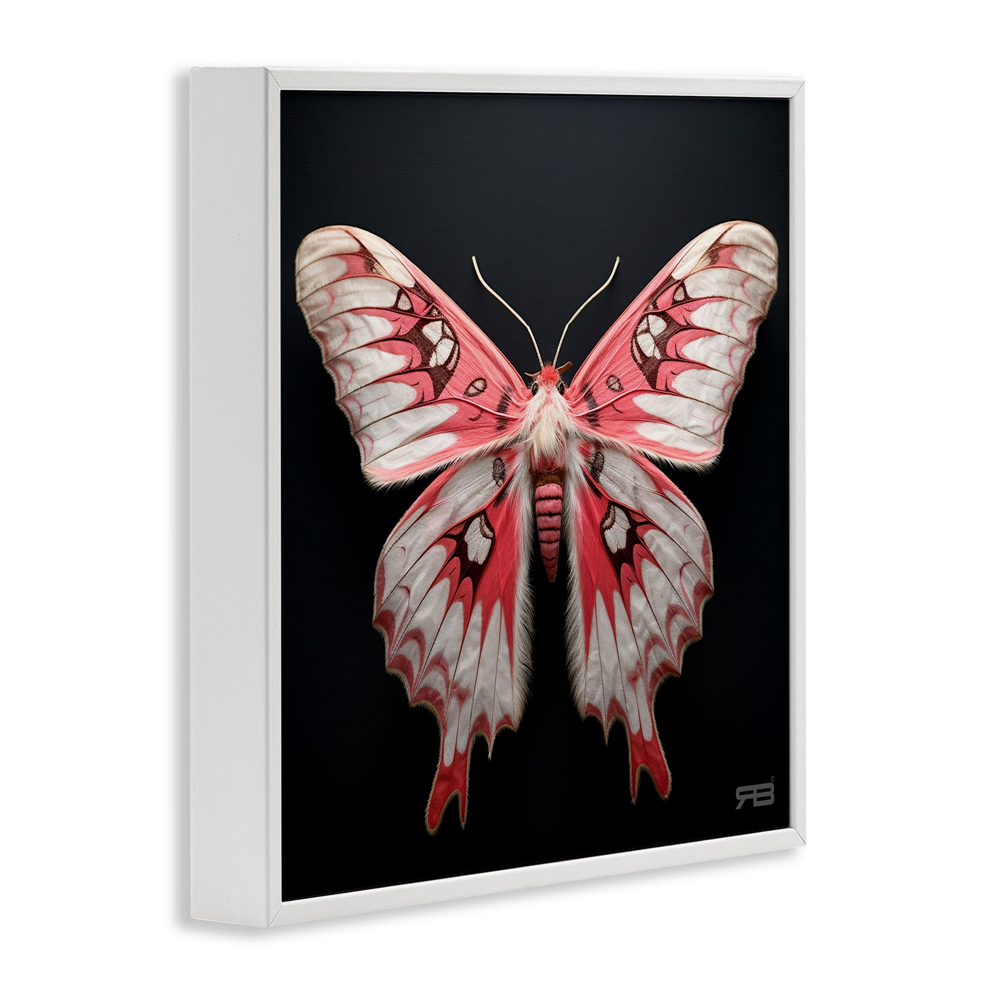 Stupell Industries Red & White Moth Animals & Insects Painting White Framed Art Print Wall Art, 24 x 24