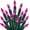 Pink, variant on TW SHINE Warm White Christmas Lights Outdoor, 20FT 100 Count Incandescent Christmas Light Indoor, Waterproof Christmas Tree String Lights for Xmas Decorations