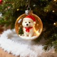 thumbnail image 1 of Colgantes De Plástico Adorno Navideño De Plástico Multicolor Con Esfera De Cristal Transparente Y Escena Invernal En Miniatura Con Adorables Animales Con Gorros De Papá Noel, 8x8x8cm (1 Unidad) Rkxzt, 1 of 9