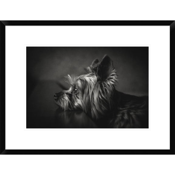 Global Gallery Krisztina Lacz 'I Have Been Waiting For You' Framed Wall Art