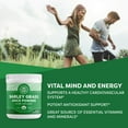 thumbnail image 3 of VIMERGY USDA Organic Barley Grass Juice Powder, 62 Servings, 3 of 10