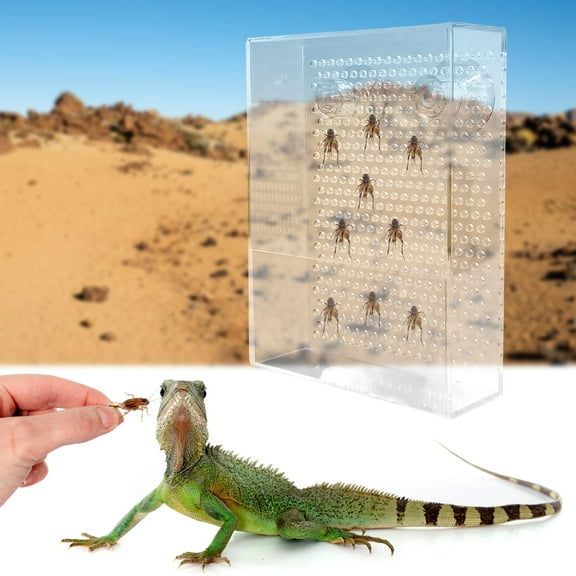 COSTYLE Transparent Acrylic Reptile Feeder Box Wall Mounted Insect Feeder with Suction Cups, Bearded Dragon Feeder, Chameleon Bug Bowl