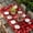 Red Black, variant on Valentine's Day Birds Table Cloths for 4 Foot Rectangle Tables, Love Branches Red Black Buffalo Plaid Patio Waterproof Elastic Fitted Tablecloths, Washable Rectangular Table Cover for Camping