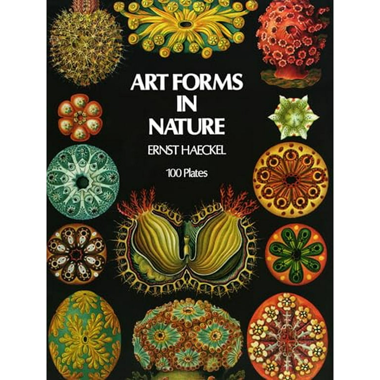 Dover Pictorial Archive Art Forms in Nature, (Paperback) - Walmart.com
