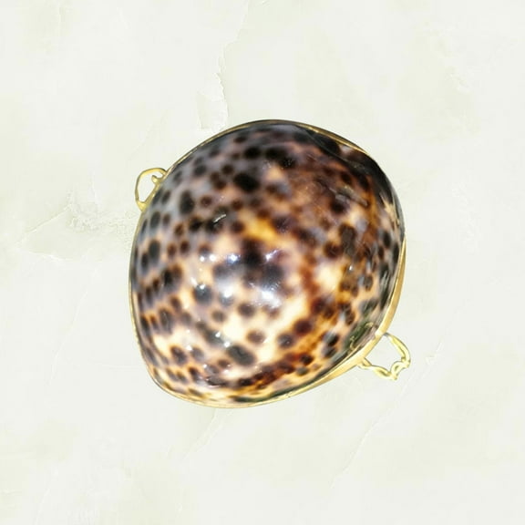 IBASETOY 1Pcs Vintage Trinket Box Shell Square Sea Style for Proposal and Jewelry Holder for Women