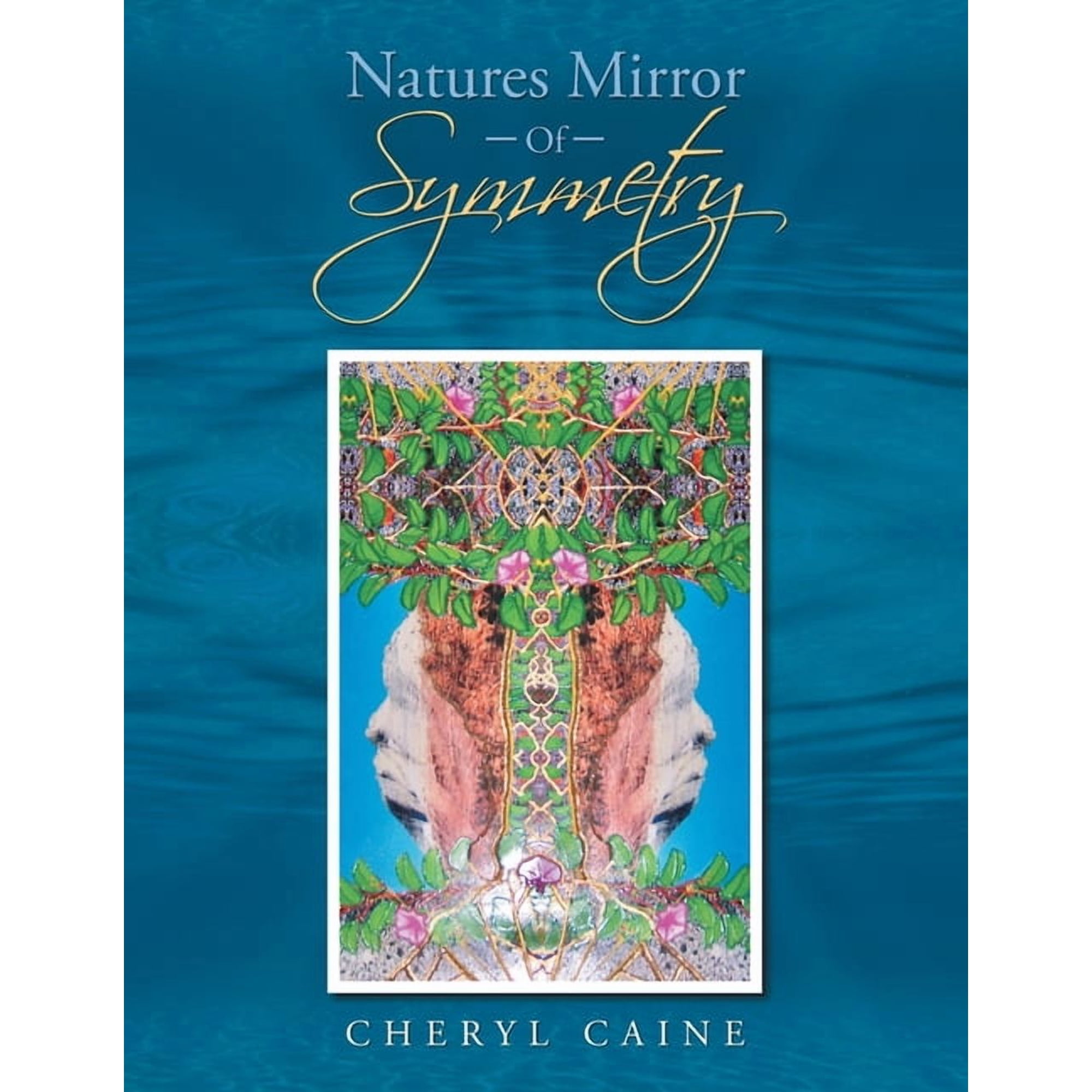 Natures Mirror Of Symmetry (Paperback)