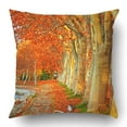 thumbnail image 1 of BSDHOME Nice Trees In Autumn In The City Pillowcase Pillow Cushion Cover 16x16 inch, 1 of 1