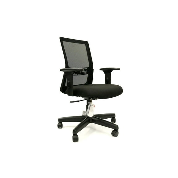 Ergonomic Office Chair - Adjustable Mesh Task Chair with Lumbar Support - Comfortable Desk Chair