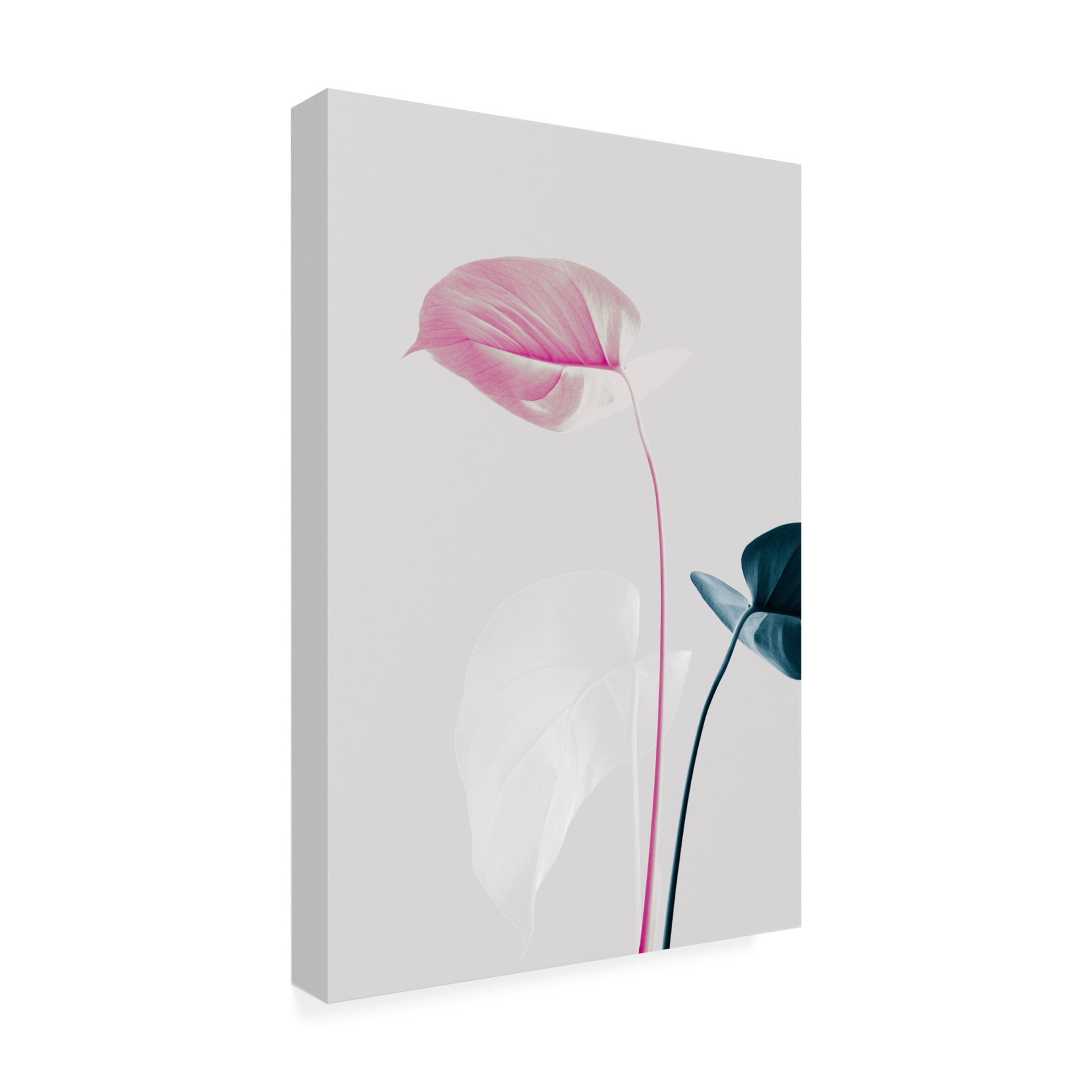 Trademark Fine Art Pictufy Studio Monstera Creative 24 Canvas Wall Art