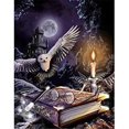 thumbnail image 1 of 5D Full Drill Diamond Painting Kit,DIY Crystal Diamond Rhinestone Painting Kits for Adults and Beginner,Embroidery Arts Craft Home Decor 12 x 16 Inch,Halloween, 1 of 7